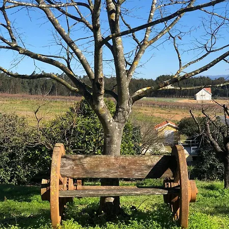 Quinta Dos Cedros - Quarto Adega Bed & Breakfast
